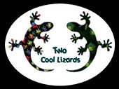 Two Cool Lizards Travel Guide
