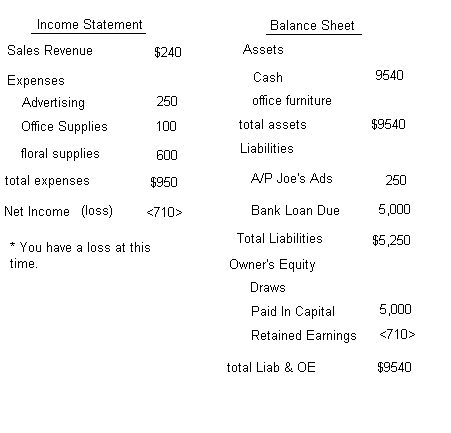 Sample+balance+sheet+and+income+statement