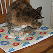 pet chair pillow