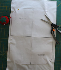 cut out pillow