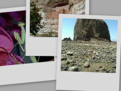 photography and scrapbook supplies