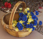 basket supplies