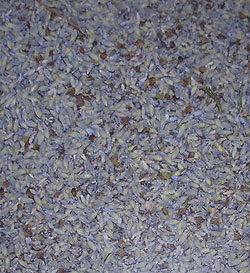 dried lavender buds