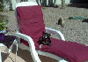 lounge Cover pattern