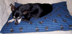 Envelope Back Pillow Case