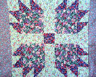 bear paw pattern