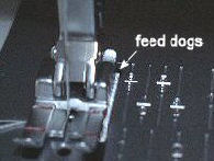 feed dogs and quilt foot
