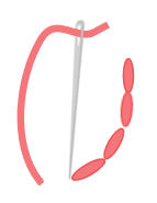 backstitch