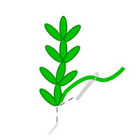 fern stitch