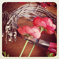 cut flower stems