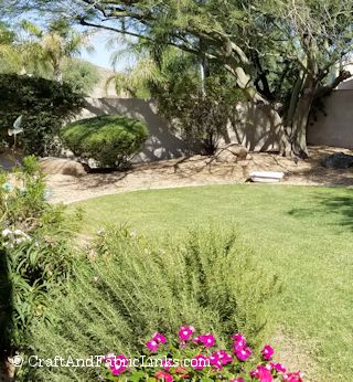 create an easy to clean bird bath or pond for wildlife