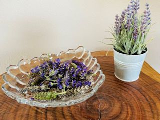 dried lavender